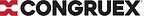Congruex Names Jim Stanley as Chief Financial Officer