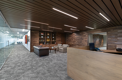 Madrid Introduces Continuous Linear: An Eye-Catching and Expansive Wall and Ceiling Product