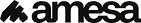 AMESA Logo