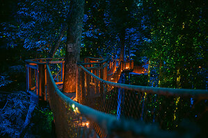 Anakeesta's Breathtaking New Firefly Experience Is Now Open to the World
