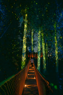 Anakeesta Firefly Experience