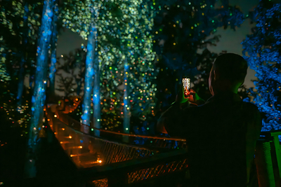 Anakeesta Firefly Experience