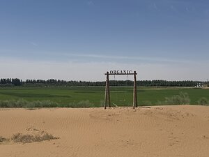 Bridging International investors with China's Agri-Food businesses through Sustainability: ChinaAMC's ESG trip