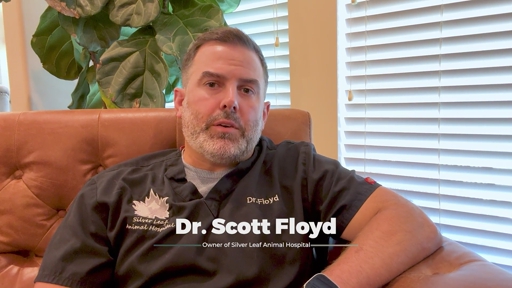 In HelloNation, Veterinary Expert Dr. Scott Floyd Breaks Down Veterinary Costs in Oklahoma
