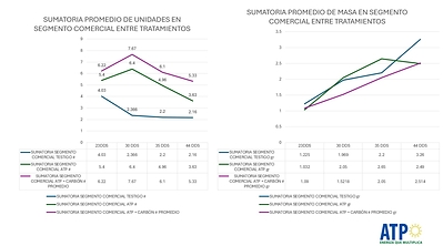 Biochar Now with ATP in Guatemala farm results
