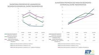 Biochar Now with ATP in Guatemala farm results