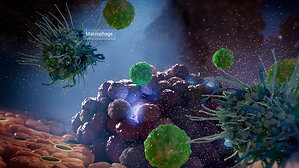 XVIVO Creates Animation for EU-Funded Research Consortium Exploring the Link Between Viruses and Type 1 Diabetes