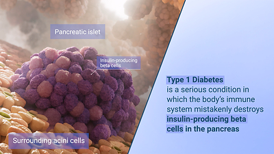 3D visualization of insulin-producing beta cells 