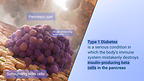 3D visualization of insulin-producing beta cells