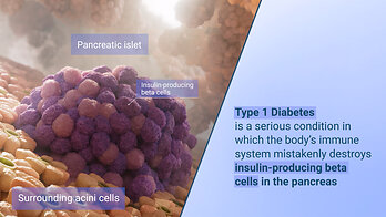 3D visualization of insulin-producing beta cells 