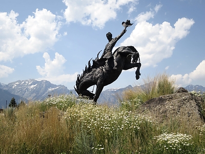 2. Artwork: "Battle of Wills" Artist: Bart Walter, Landscape Architect: Mike Wonenberg Medium: Cast bronze and stainless steel Location: Jackson Hole Airport, Jackson, WY CODAworx Link: https://codaworx.com/projects/jackson-hole-airport-entry-892