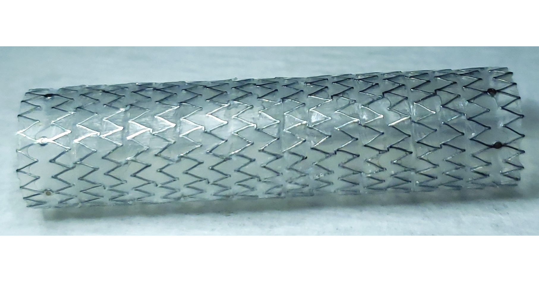 Peytant Solutions Announces First-in-Human Use of AMStent® Tracheobronchial Covered Stent System
