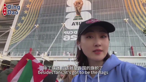 Flags seen throughout the 2026 FIFA World Cup stadiums and streets