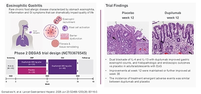 A study published June 23, 2026, in The Lancet Gastroenterology & Hepatology reports significant improvements for people with EoG after receiving investigational treatment with the monoclonal antibody dupilumab. 