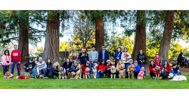 DogHood Unveils Major Update as Community Engagement Doubles