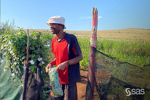 South African micro farmer