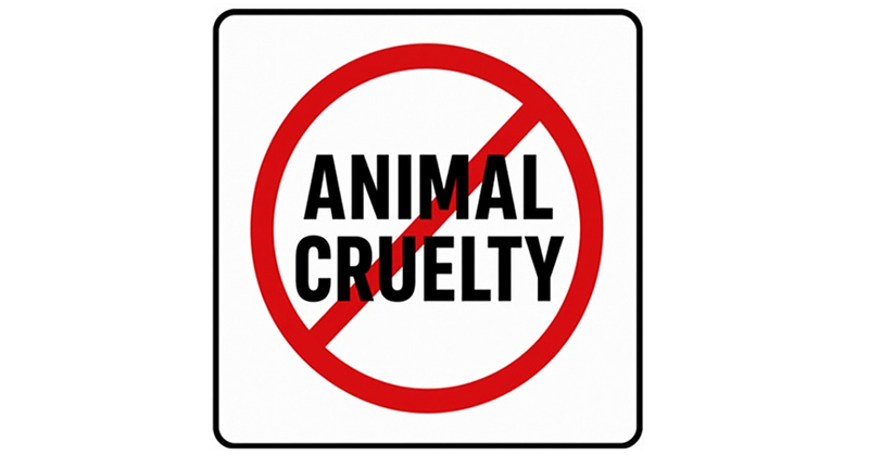 The National Police Association Endorses the LEASH Act of 2026