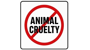 The National Police Association Endorses the LEASH Act of 2026