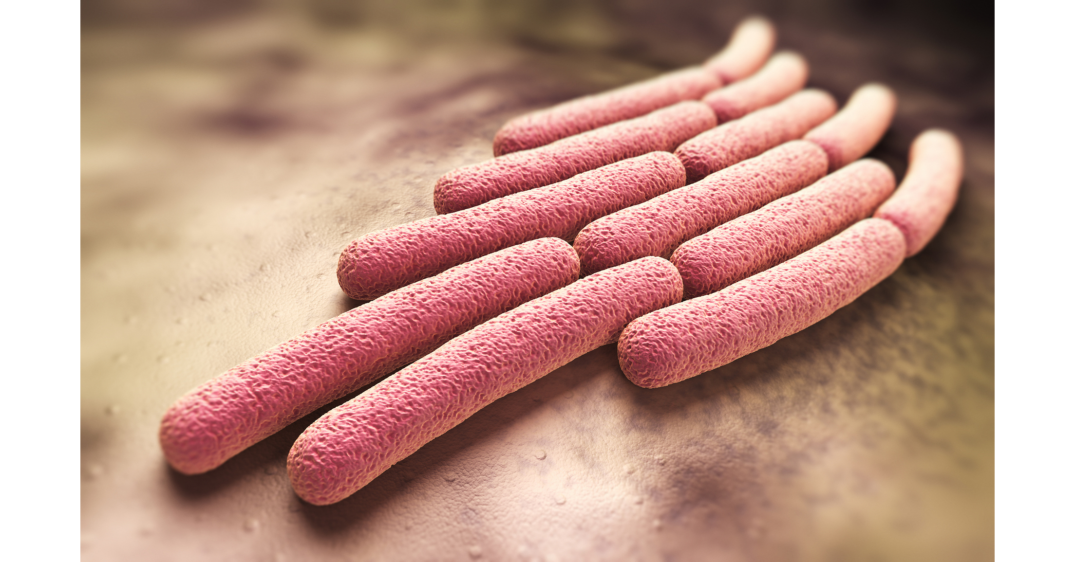 Clinical Trial of Shigella Vaccine Shows 89% Protection