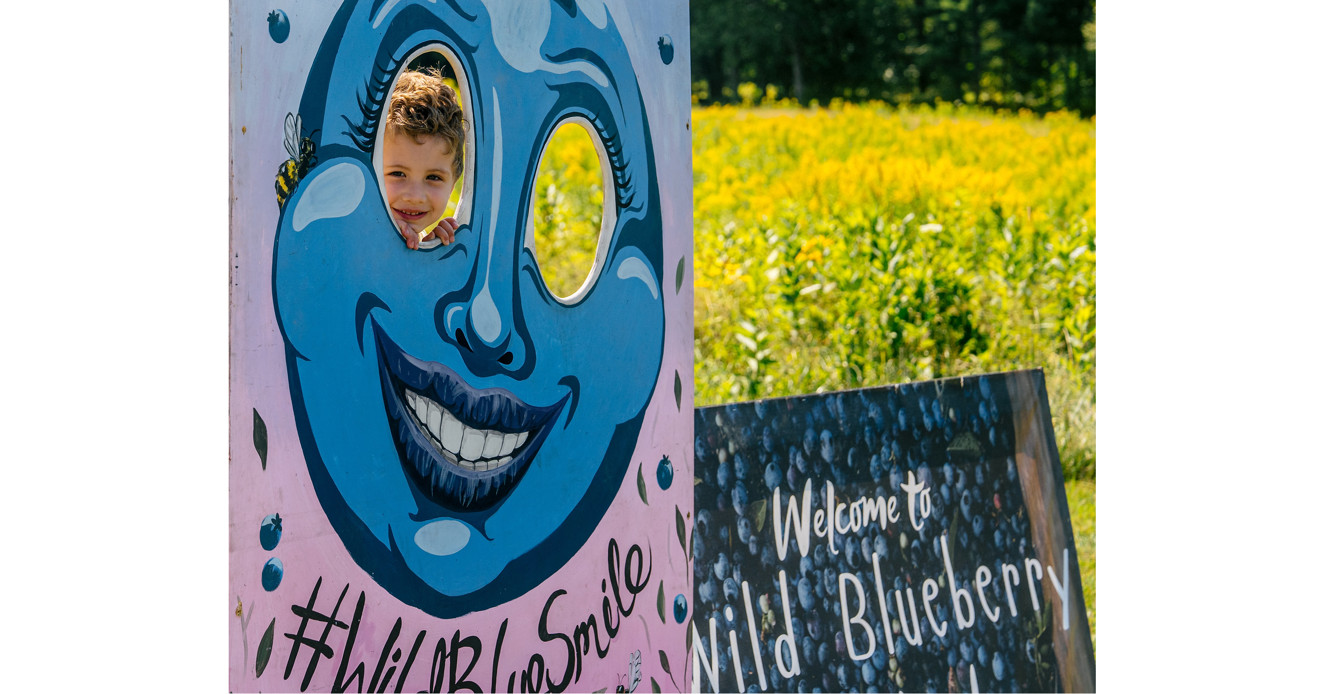 Wild Blueberry Weekend Returns to Communities Across Maine August 1-2, 2026