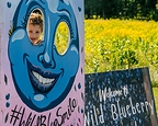 Wild Blueberry Weekend offers fun family activities and opportunities to pick your own berries and enjoy pancake breakfasts with friends and neighbors.
