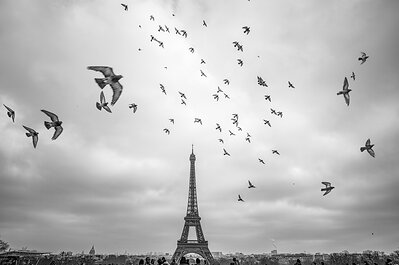 Leica Store & Gallery Chicago presents Mathieu Bitton Brings Paris Blues Leica Store & Gallery Chicago presents Mathieu Bitton Brings Paris Blues