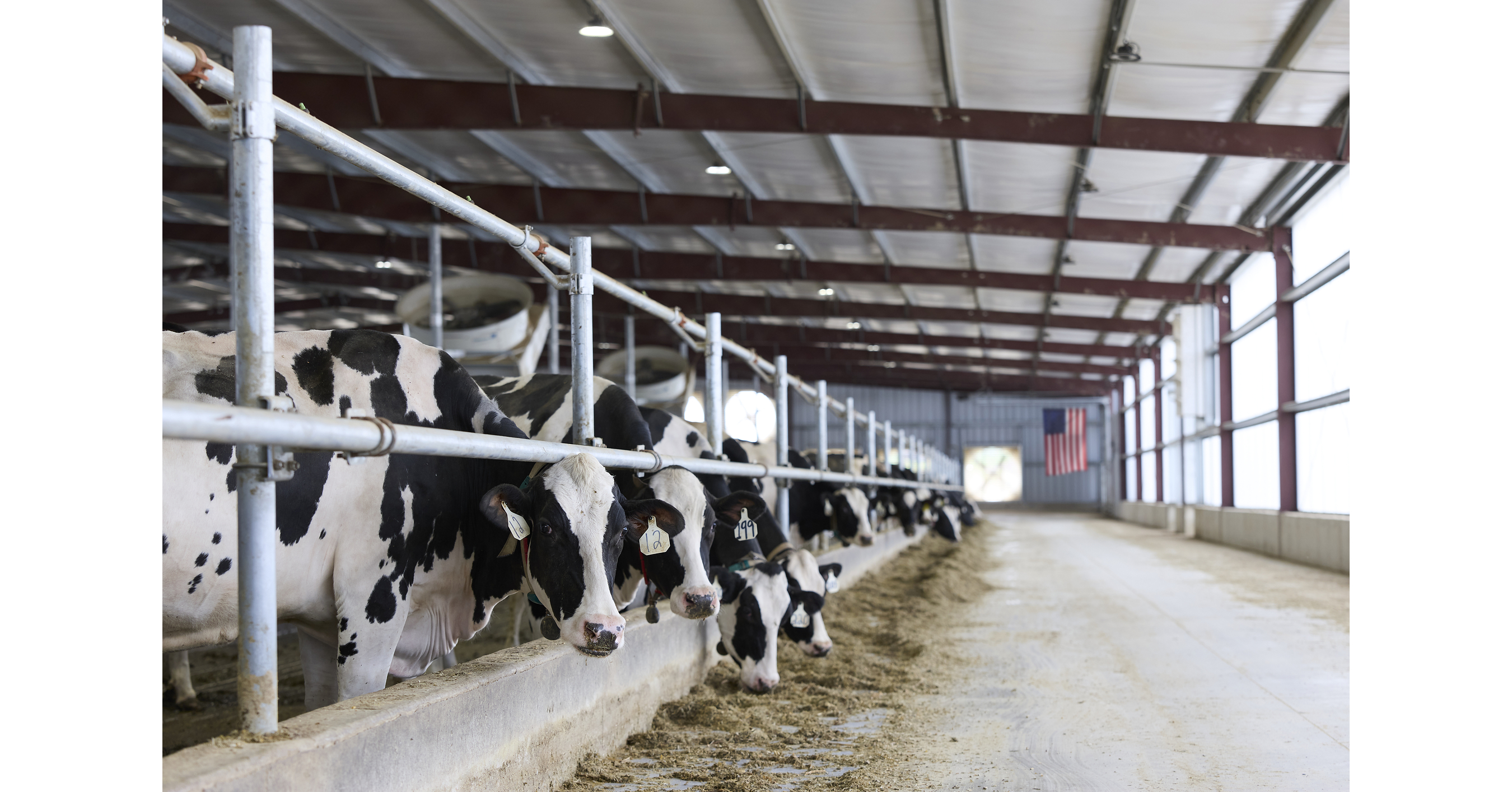 Danone USA's Economic Impact: Putting Health Through Food in Action for America