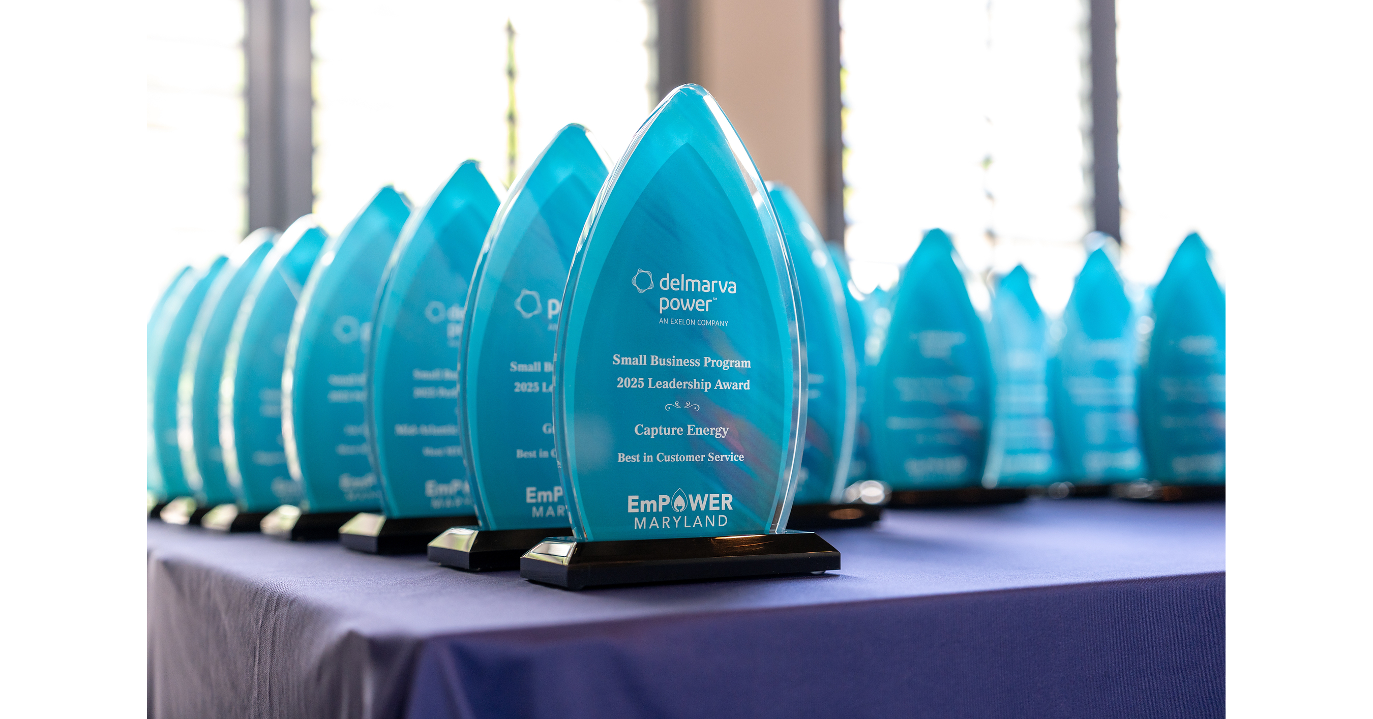 AQUIS Receives the Pepco Most Innovative Project Service Provider Award AQUIS Receives the Pepco Most Innovative Project Service Provider Award