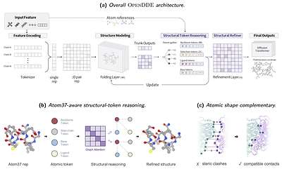Image 2. OpenDDE architecture, structural-token reasoning, and atomic shape complementarity. Source: Aureka AI Research.