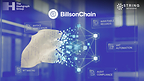 The Hashgraph Group and String Metaverse launch 