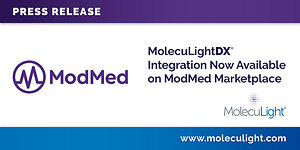 MolecuLightDX® Integration Now Available on ModMed Marketplace