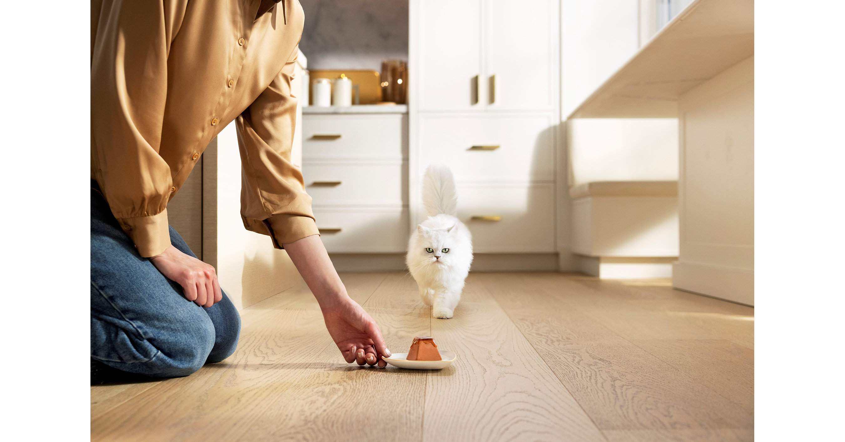 Why Your Cat Might Be Bored With Dinner -- And What Science Says to Do About It