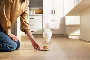 Why Your Cat Might Be Bored With Dinner -- And What Science Says to Do About It