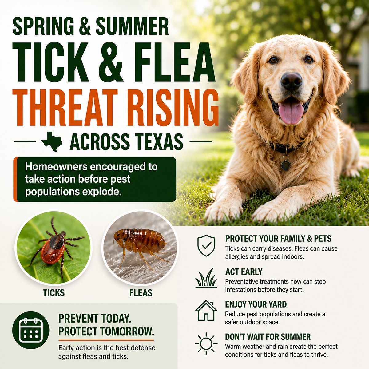 does tobacco get rid of fleas Bed Bug & Flea Fogger | Contains 3 Foggers Biting Insect Allergy-Bed Bugs and