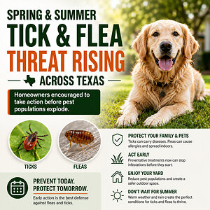 Summer Tick & Flea Threat Rising Across Texas, Warns Dr. Green Services