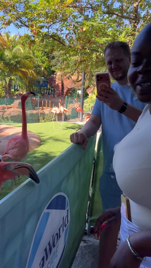 United Parks & Resorts drives annual pass sales
