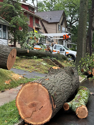 PSE&G workers repair electric service in Nutley, NJ. Damaging winds and storms brought down 1,500 trees during the July 3-5, 2026 storms.