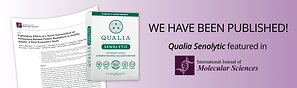 Human Study on Qualia Senolytic Featured in International Journal of Molecular Sciences, Showing Potential Aging Benefits