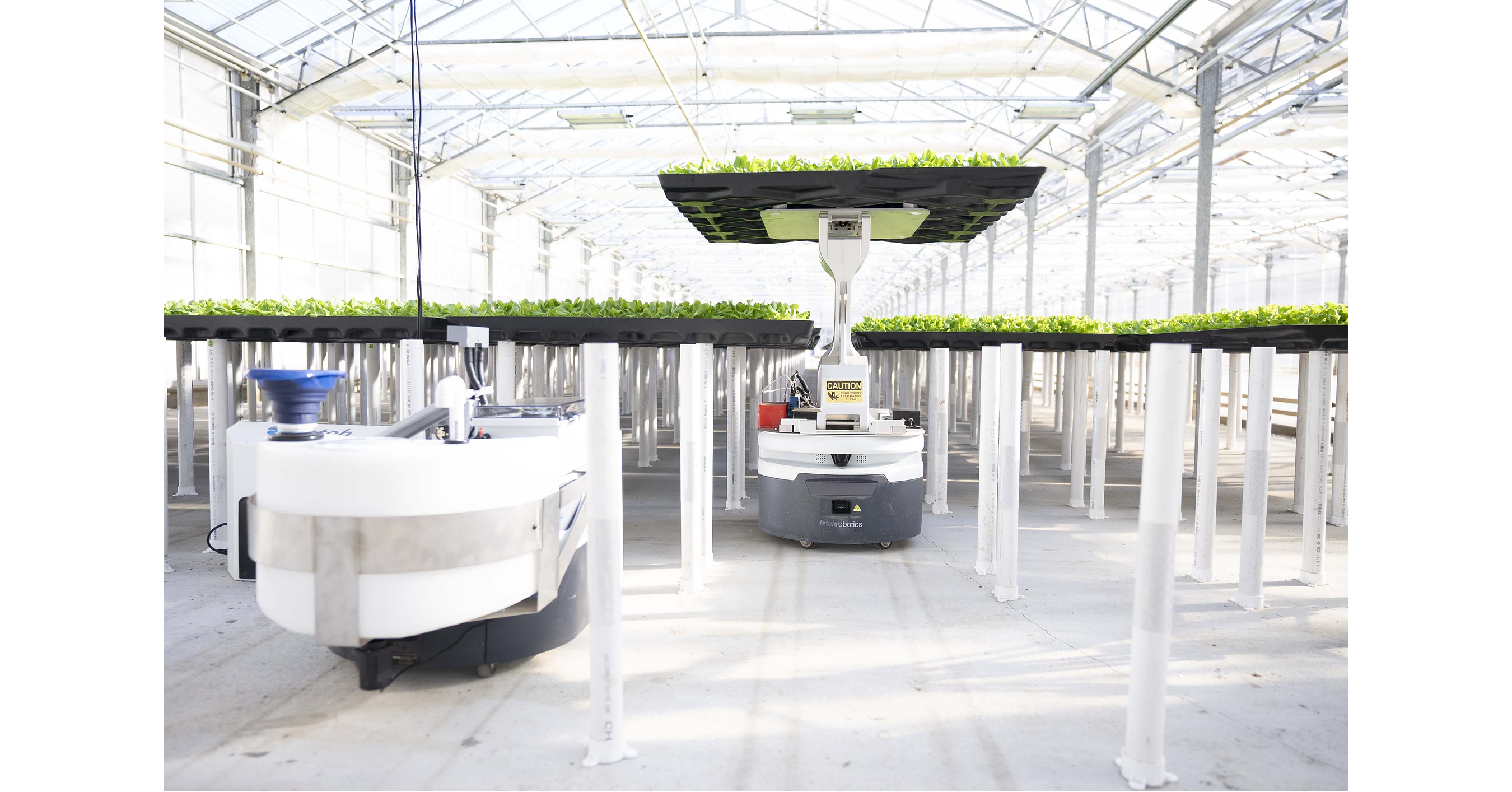 Hippo Harvest Closes $30 Million Series C Led by Cox Farms, Scaling Robotic Indoor Growing Technology and Expanding to New Markets