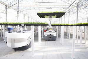 Hippo Harvest Closes $30 Million Series C Led by Cox Farms, Scaling Robotic Indoor Growing Technology and Expanding to New Markets