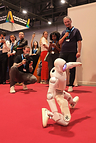 PrimeBOT Brings Personal Robotics to the UN’s AI for Good Summit in Geneva