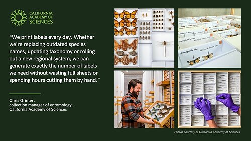 The entomology department at the California Academy of Sciences replaced an outdated system with a newly designed, bio-geographic color labeling standard using ColorWorks label printers for its 18 million insect specimens.