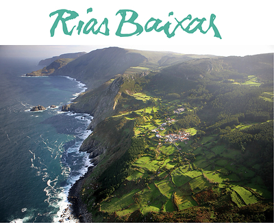 From Atlantic Vineyards to America's Wine Lists: Why Rías Baixas Albariño Continues to Rise