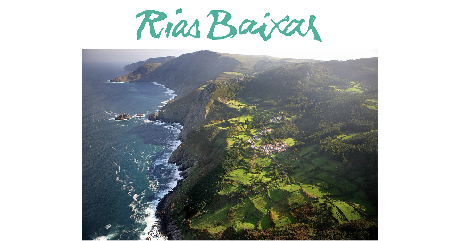From Atlantic Vineyards to America's Wine Lists: Why Rías Baixas Albariño Continues to Rise
