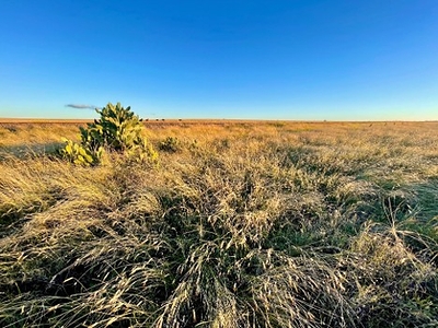 Landscape in rural Australia, taken by A/Prof Skye Marshall, while travelling between rural communities in Queensland. Landscape in rural Australia, taken by A/Prof Skye Marshall, while travelling between rural communities in Queensland.