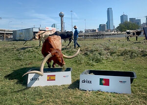 A Longhorn in Dallas Has Been Calling the Knockout Rounds All Tournament. On Thursday, He Picks the Winner of the Final. Live.