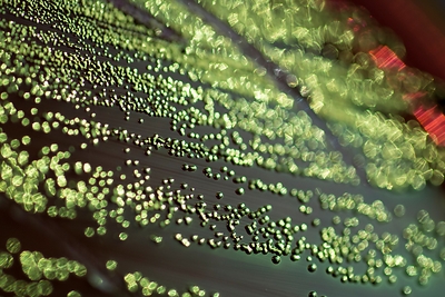 Researchers from Incheon National University Develop a New Approach to Unlock Hidden Genetic Potential in Microbes
