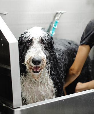 Sparkle Grooming Co. will open its first New Jersey salon in Montclair on July 27, marking the brand's entry into the Garden State as part of a planned 26-location statewide expansion.