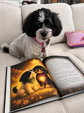 Lucy, the real Peekapoo whose lifelong bond with Bella inspired Bella’s Light, pictured with the hardcover edition of the book.