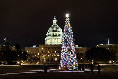 The U.S. Capitol Christmas Tree stands illuminated on the West Lawn of the U.S. Capitol, marking one of the nation's most treasured holiday traditions.